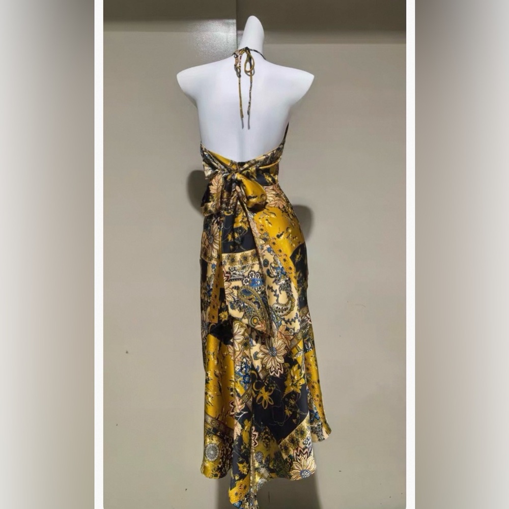 Argentina tango dress - Picture 2 of 2